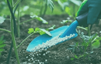 fertilizing and mulching