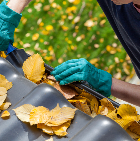 Gutter Clearing Dublin